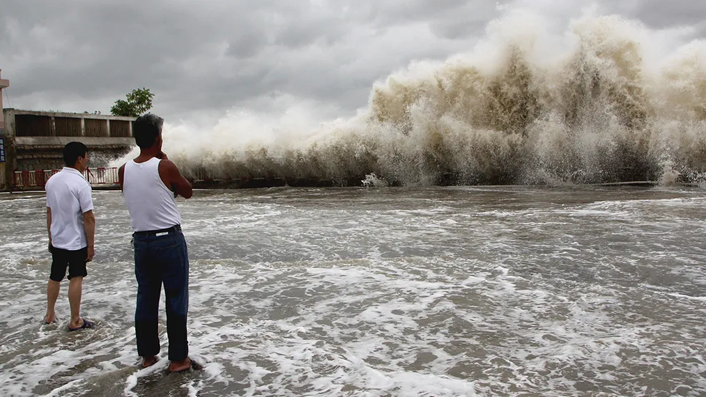 Капитал - В Японии произошло мощное землетрясение