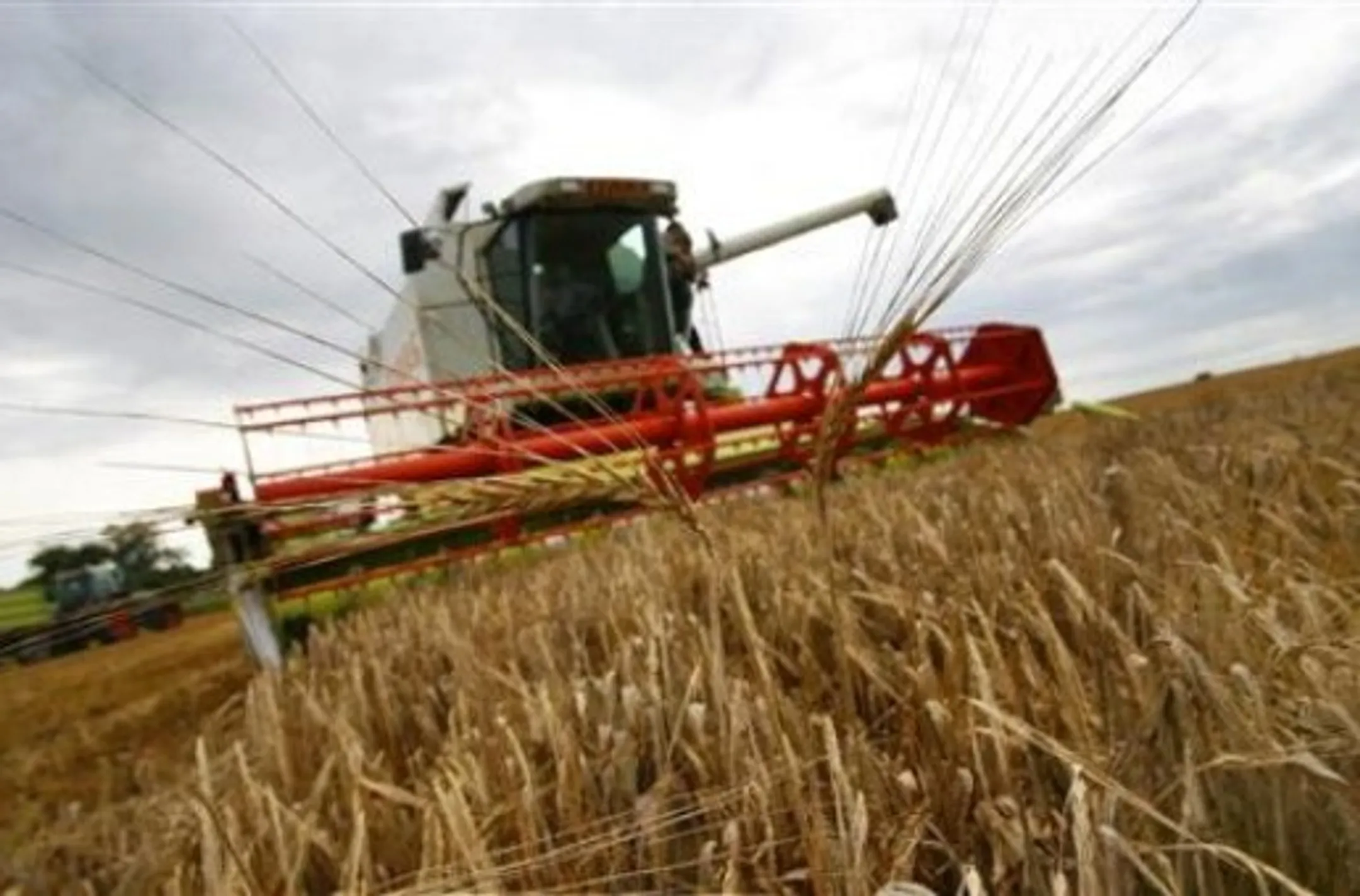 Казахстанским аграриям осталось убрать 0,9% площадей - Image Kapital.kz