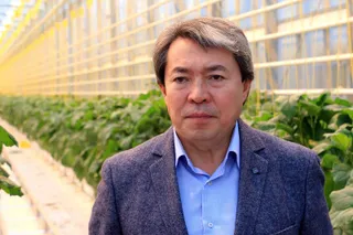 Капитал - Выгодно ли содержать теплицу