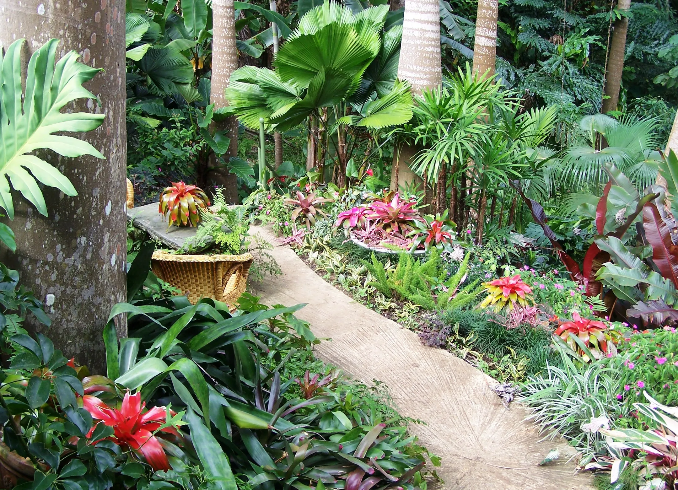 Бородатый остров - Image Kapital.kz