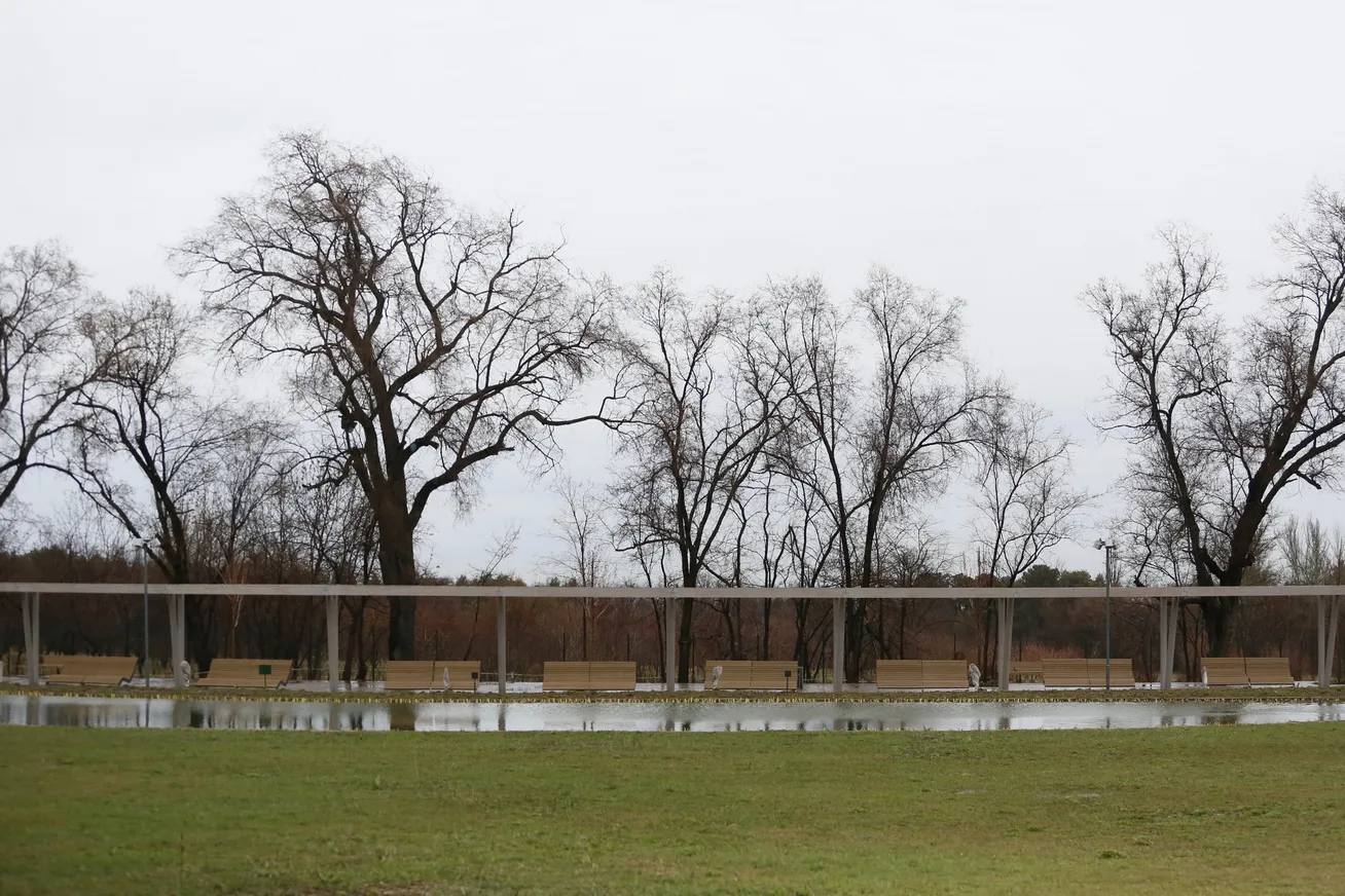 На фото: Аллеи Ботанического сада <br>