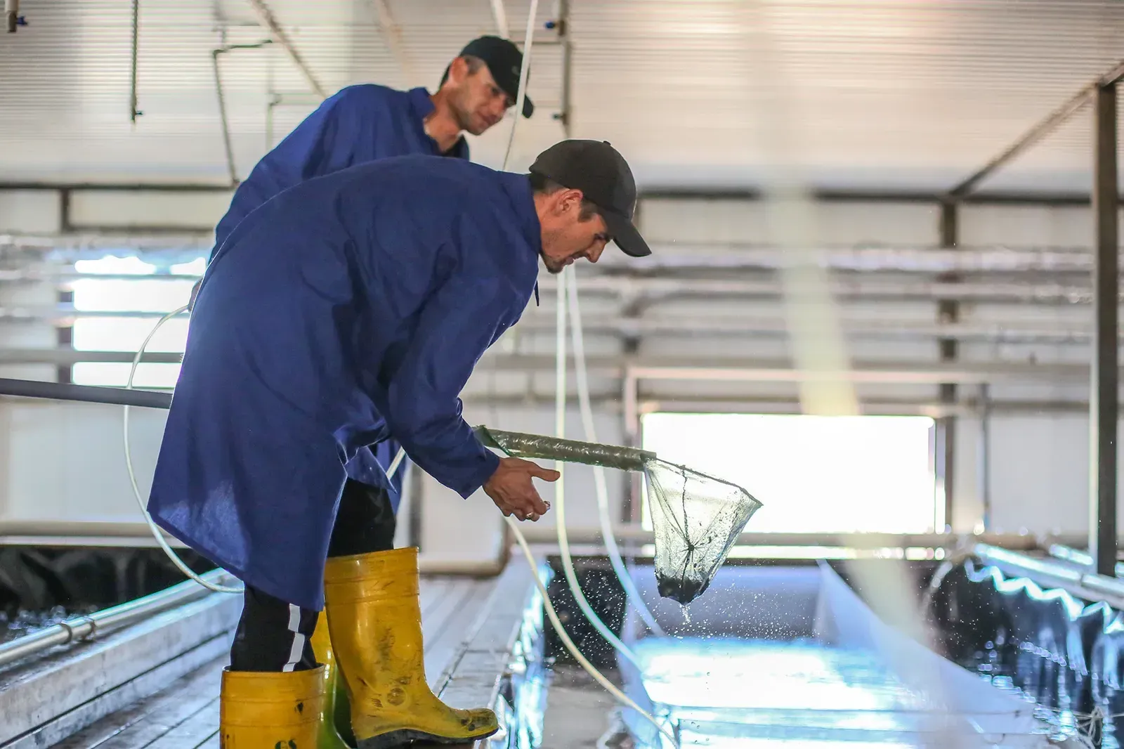 Земли водного фонда можно будет передавать для ведения аквакультуры 