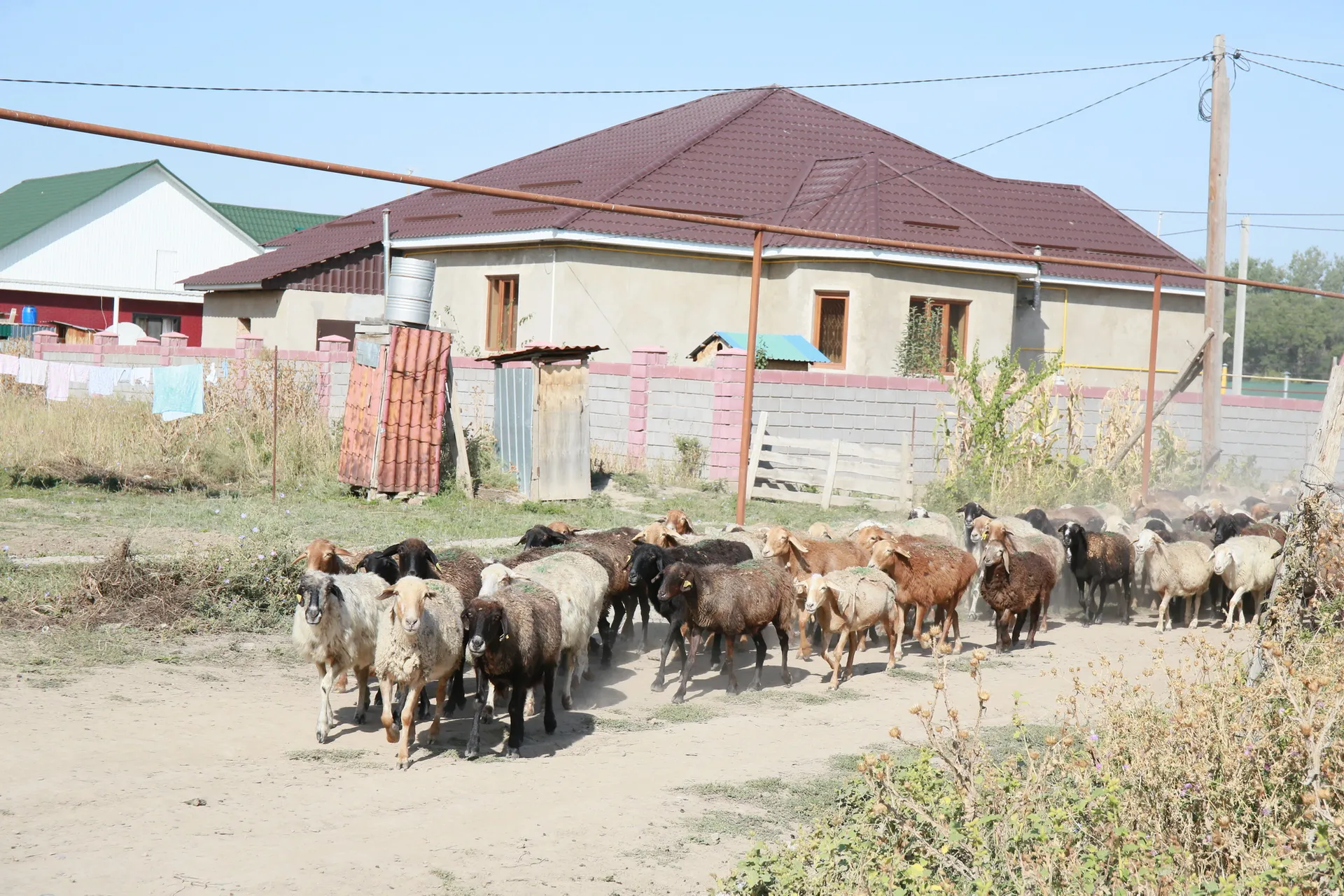 Фото: Руслан Пряников