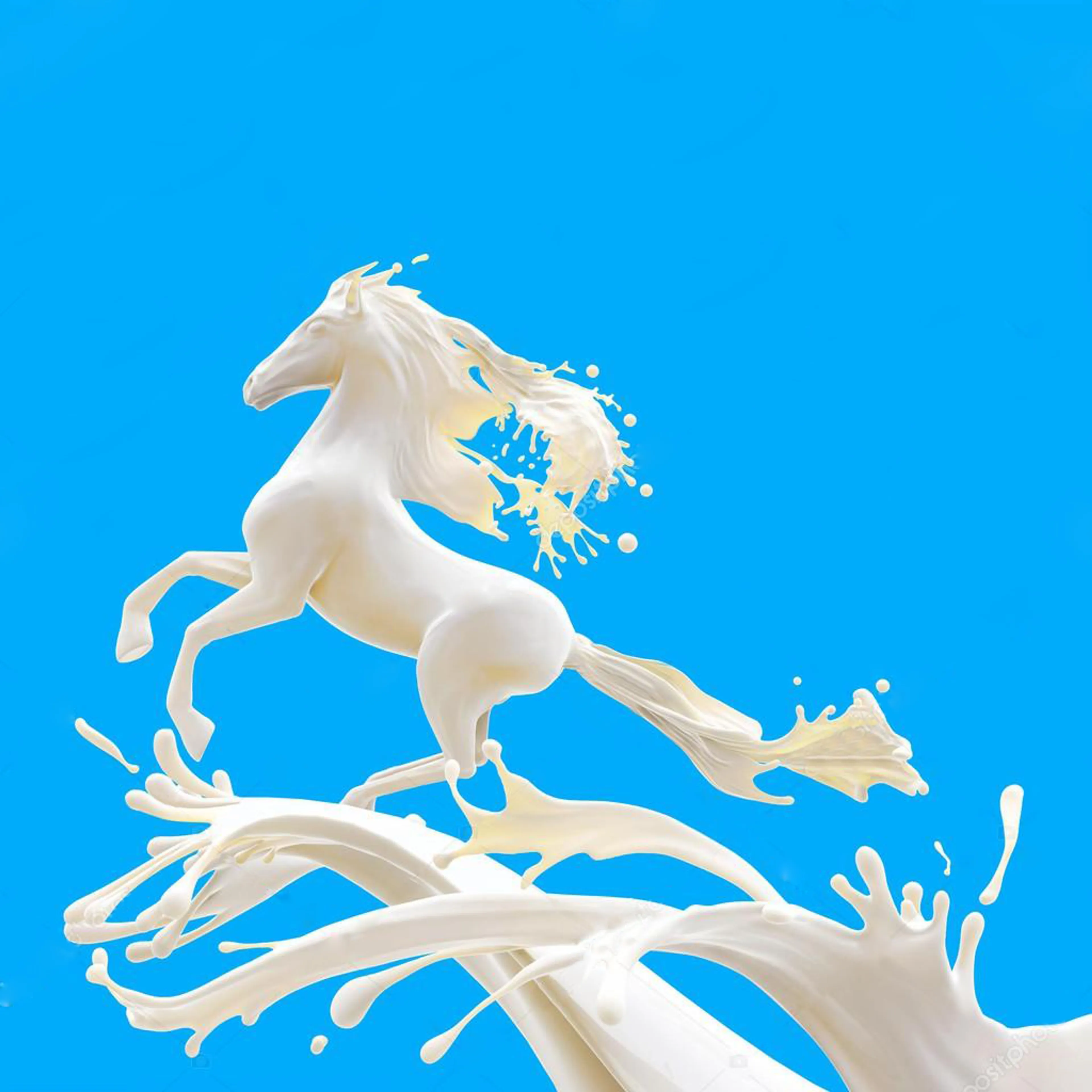 Капитал - Сложности маркетинга: Как продают сухое кобылье молоко