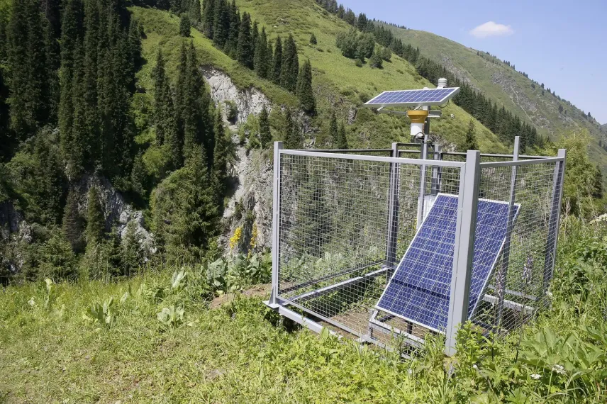 Фото: Руслан Пряников