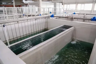 Фото: акимат Астаны 