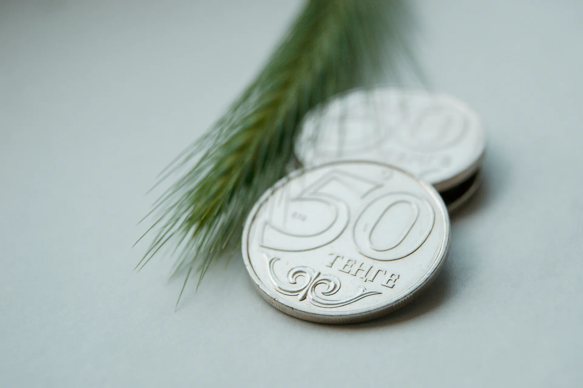 Капитал - Кредитование сельского хозяйства сократилось сразу на 62%