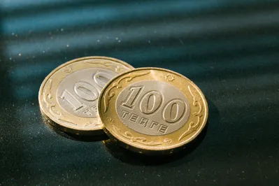 Фото: Валерия Змейкова