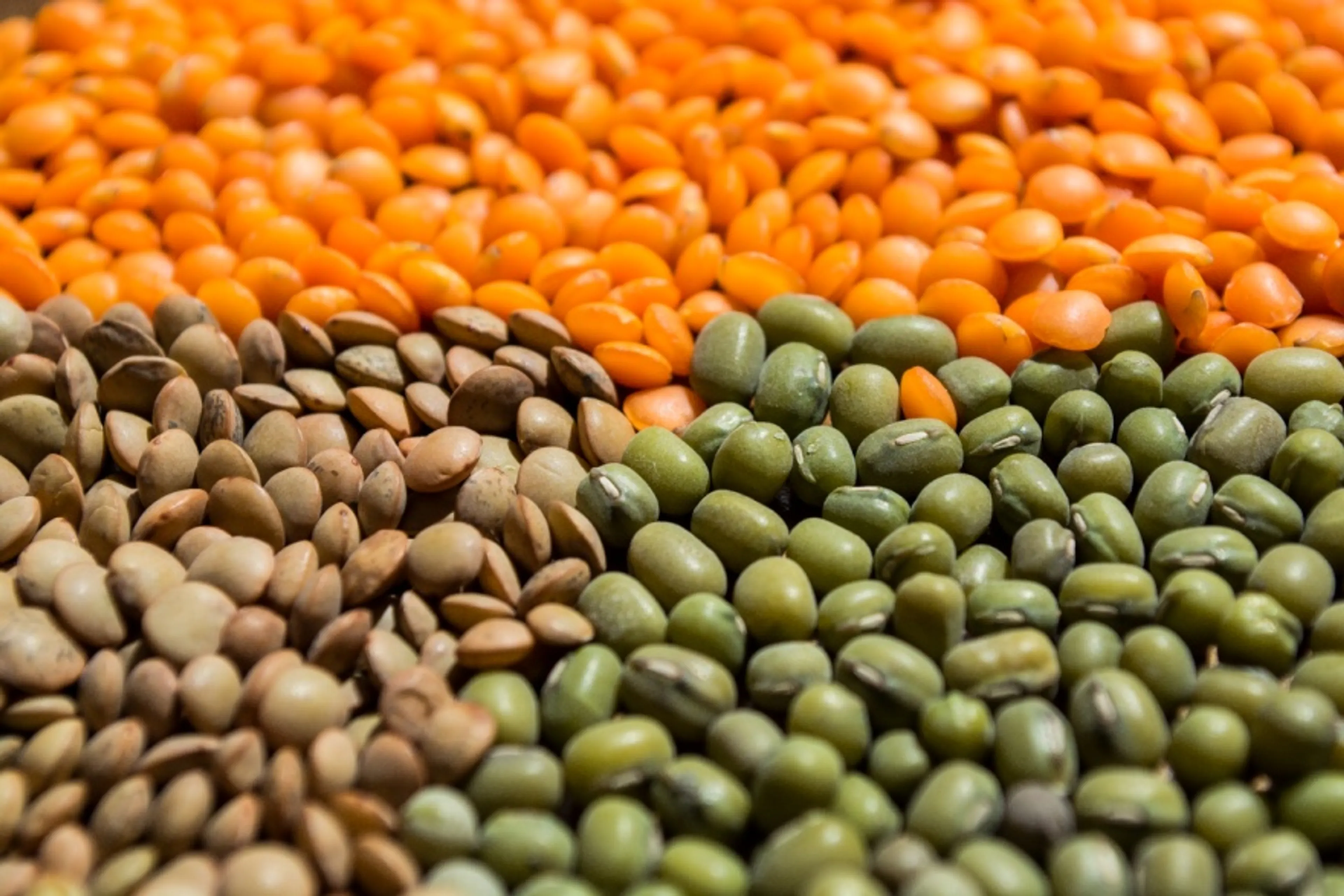 Капитал - Минсельхоз нацелен на диверсификацию экспортных поставок