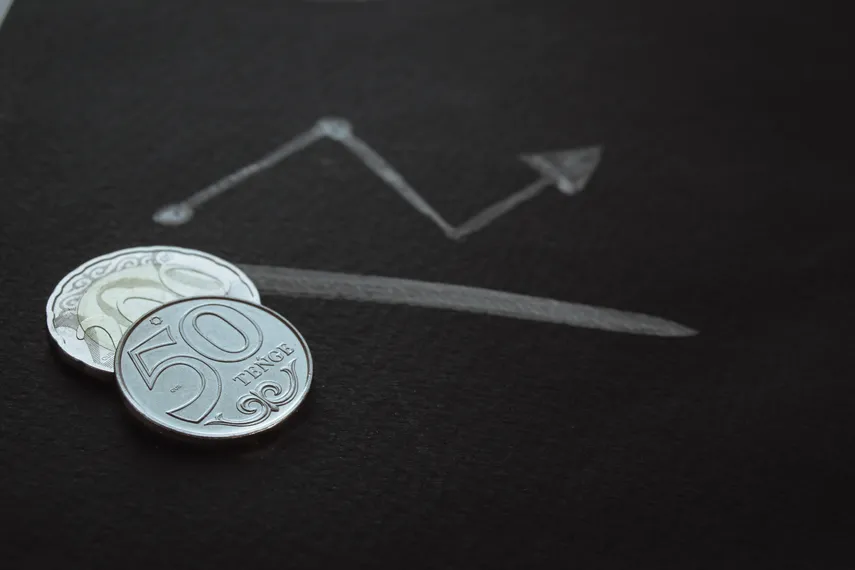 Фото: Валерия Змейкова