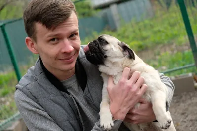 Как Puppy.kz продвигает зоогостиницу в Алматы