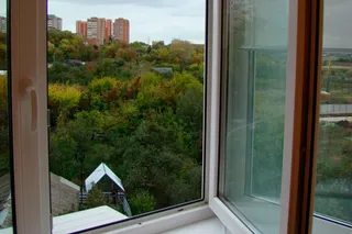 Капитал - В отношении выпрыгнувшего из окна директора колледжа возбуждено уголовное дело