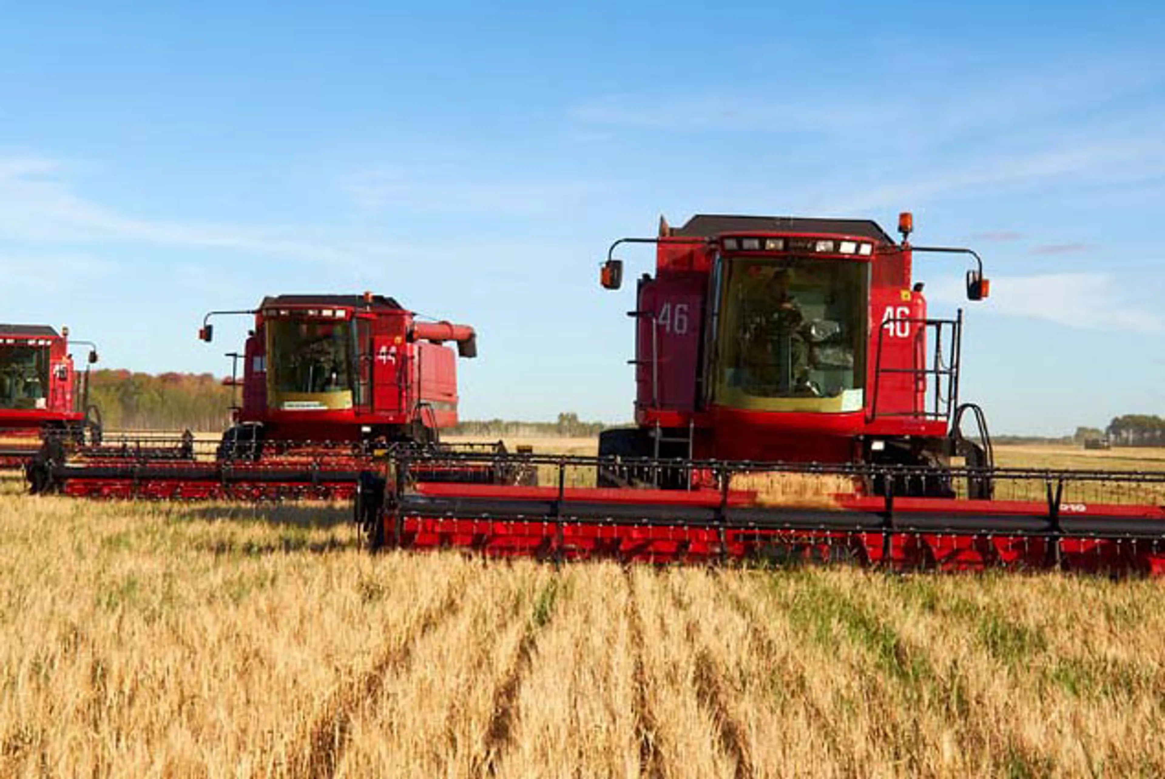 Капитал - В Казахстане намолочено около 6,9 млн тонн зерна