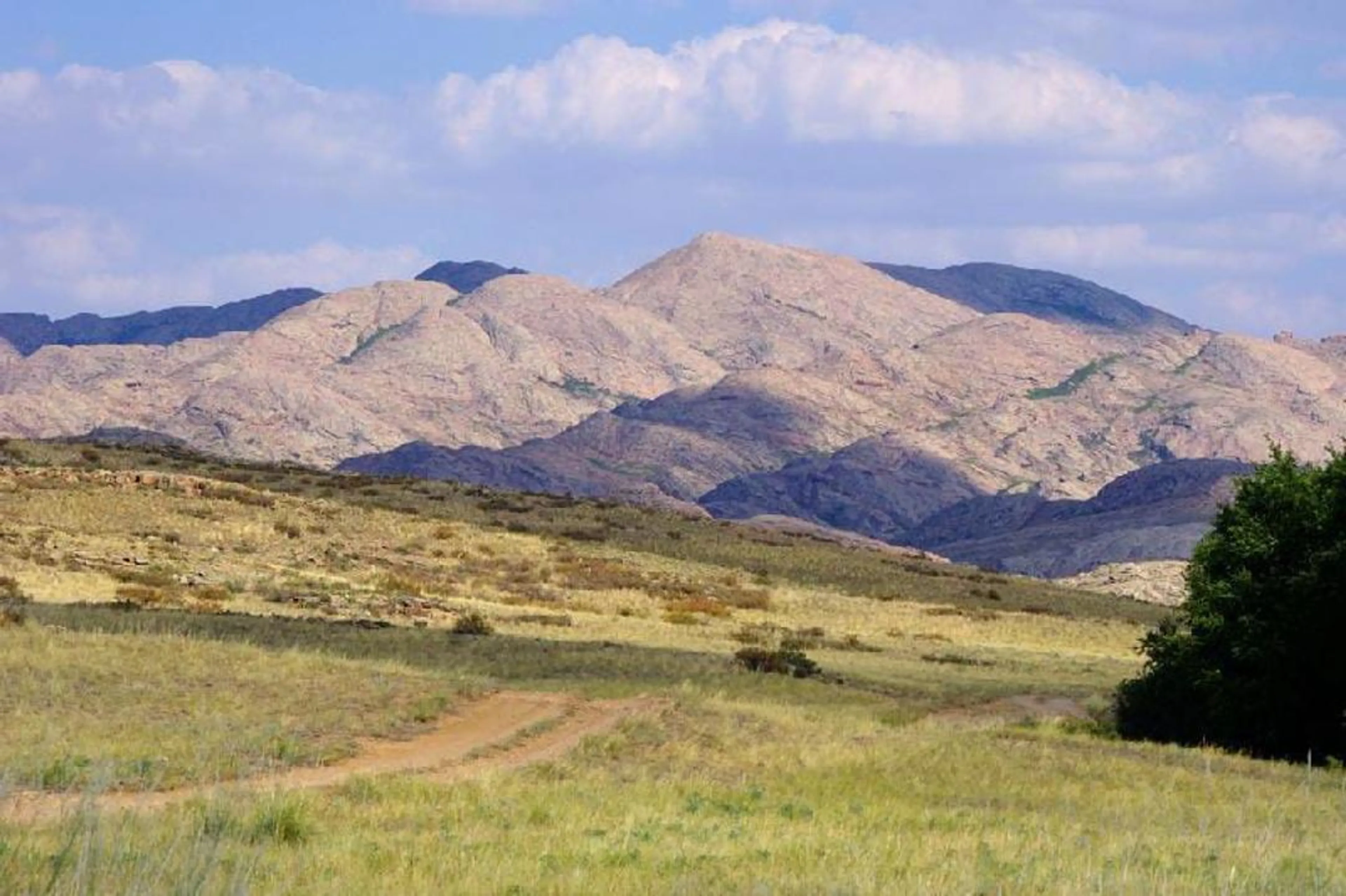 Капитал - Свыше 172 000 га земель возвращено государству в области Улытау