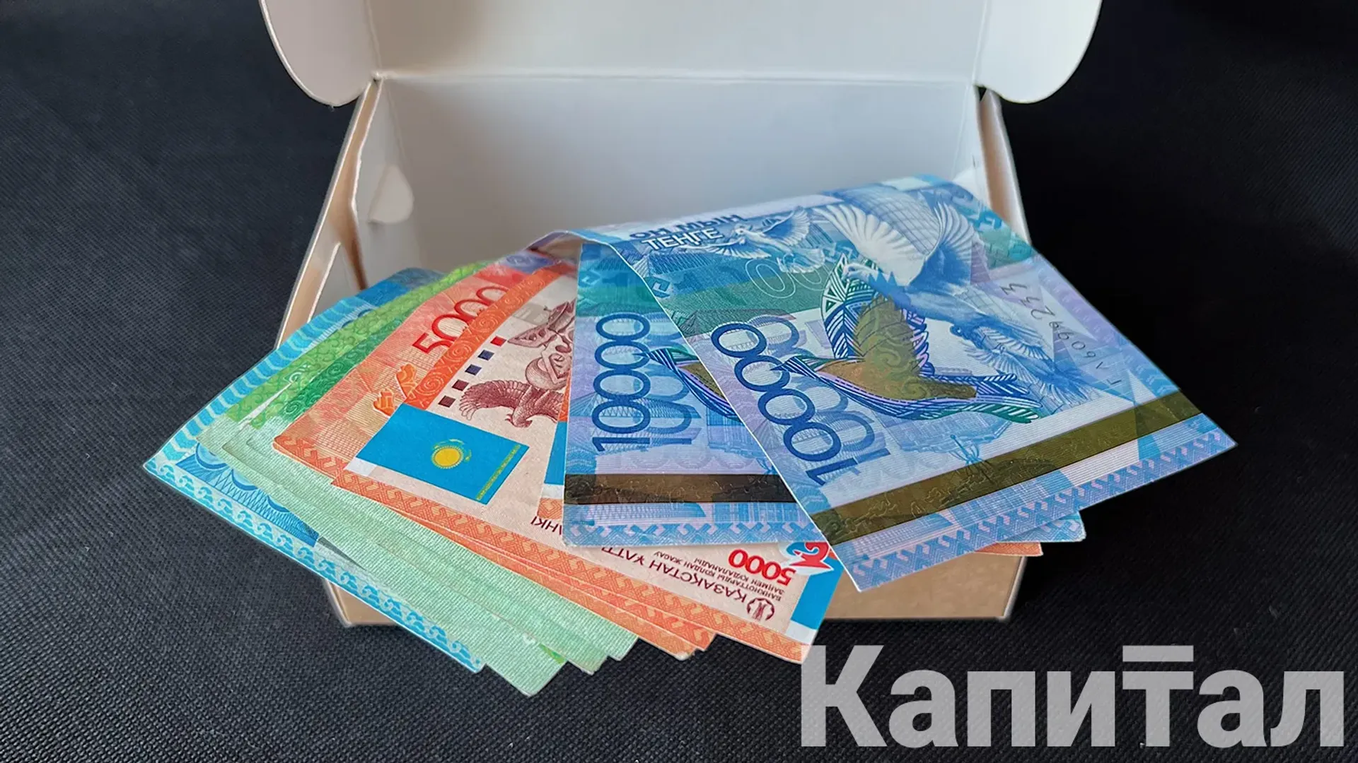 Фото: Валерия Змейкова 