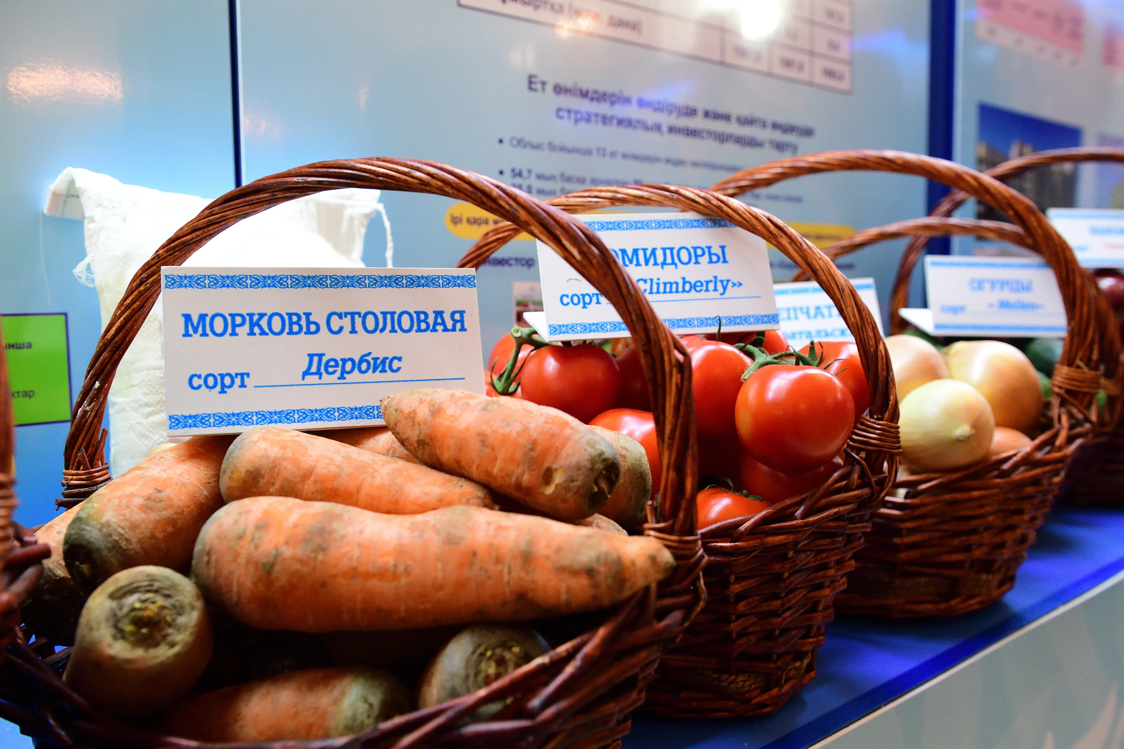 Капитал - В Алматинской области действует 
51 сервисно-заготовительный центр