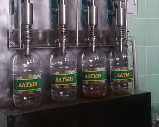 Капитал - В Сайрамском районе ЮКО наладили производство подсолнечного масла