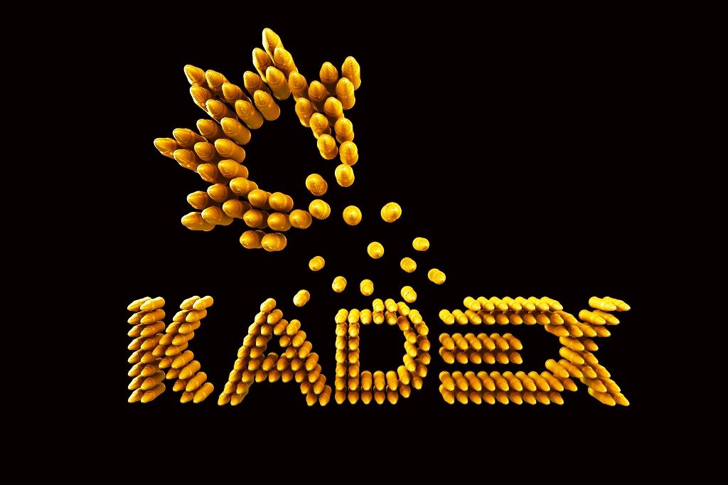 Оптическую продукцию, сделанную в Казахстане, представят на KADEX-2016- Kapital.kz