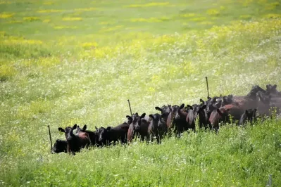 Фото: Руслан Пряников
