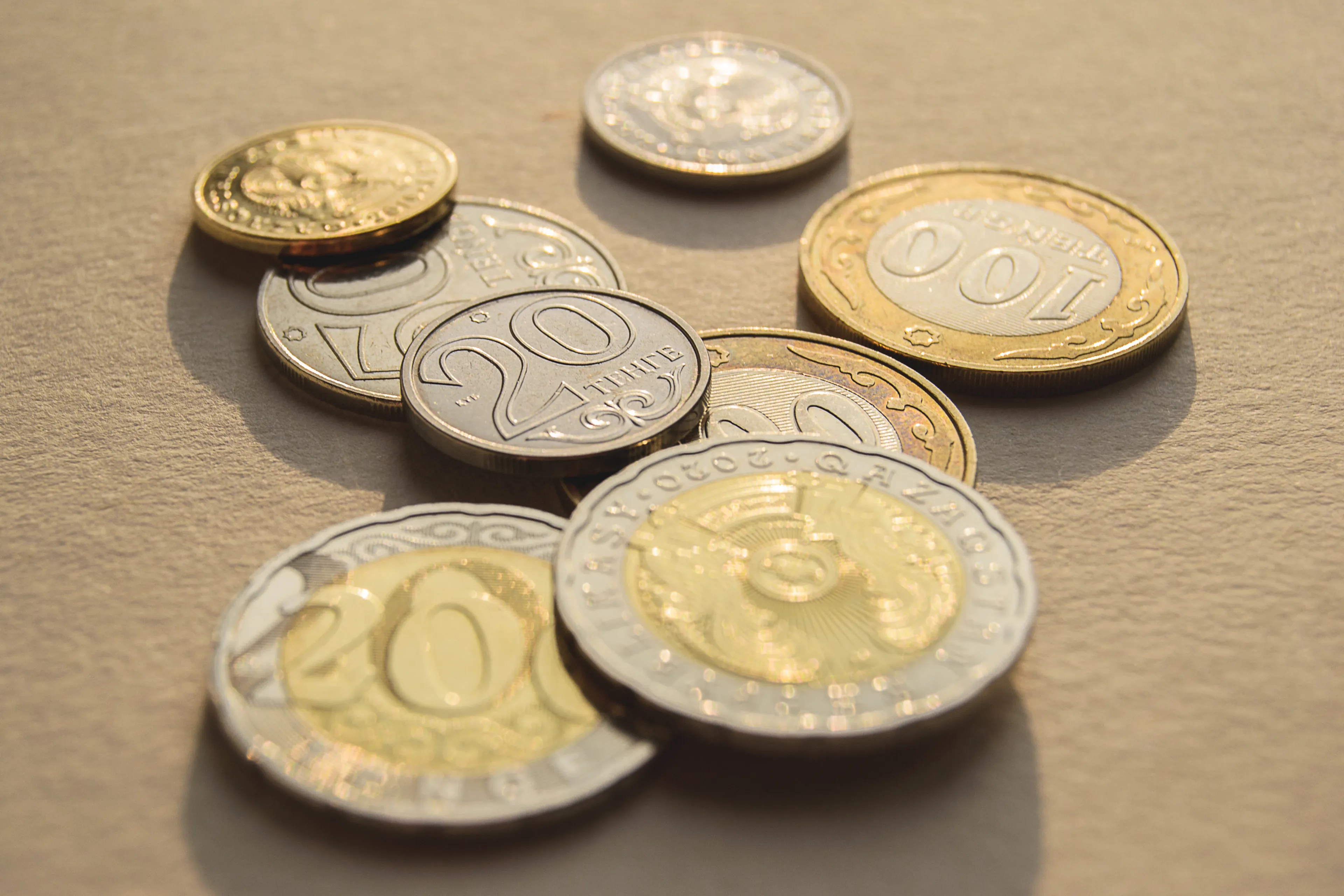 Фото: Валерия Змейкова