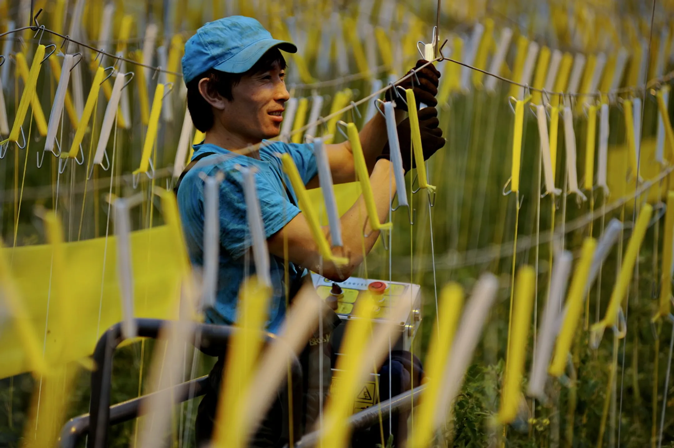 На Алматинскую агломерацию приходится четверть вложений в пищепром - Image Kapital.kz