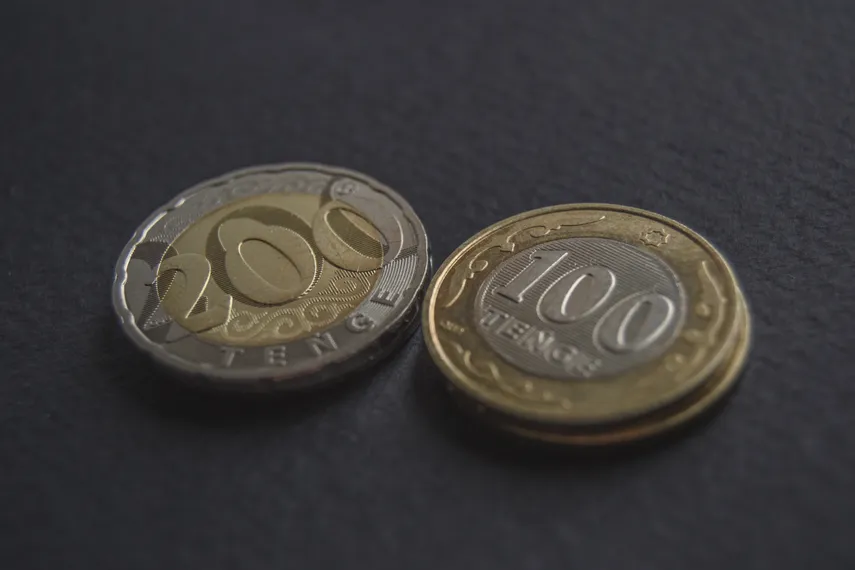 Фото: Валерия Змейкова