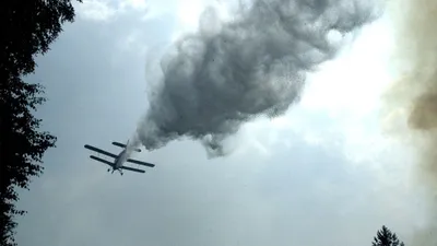 Причиной крушения самолета мог стать туман