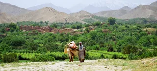 Капитал - Евросоюз будет ежегодно выделять Афганистану 1,2 млрд евро