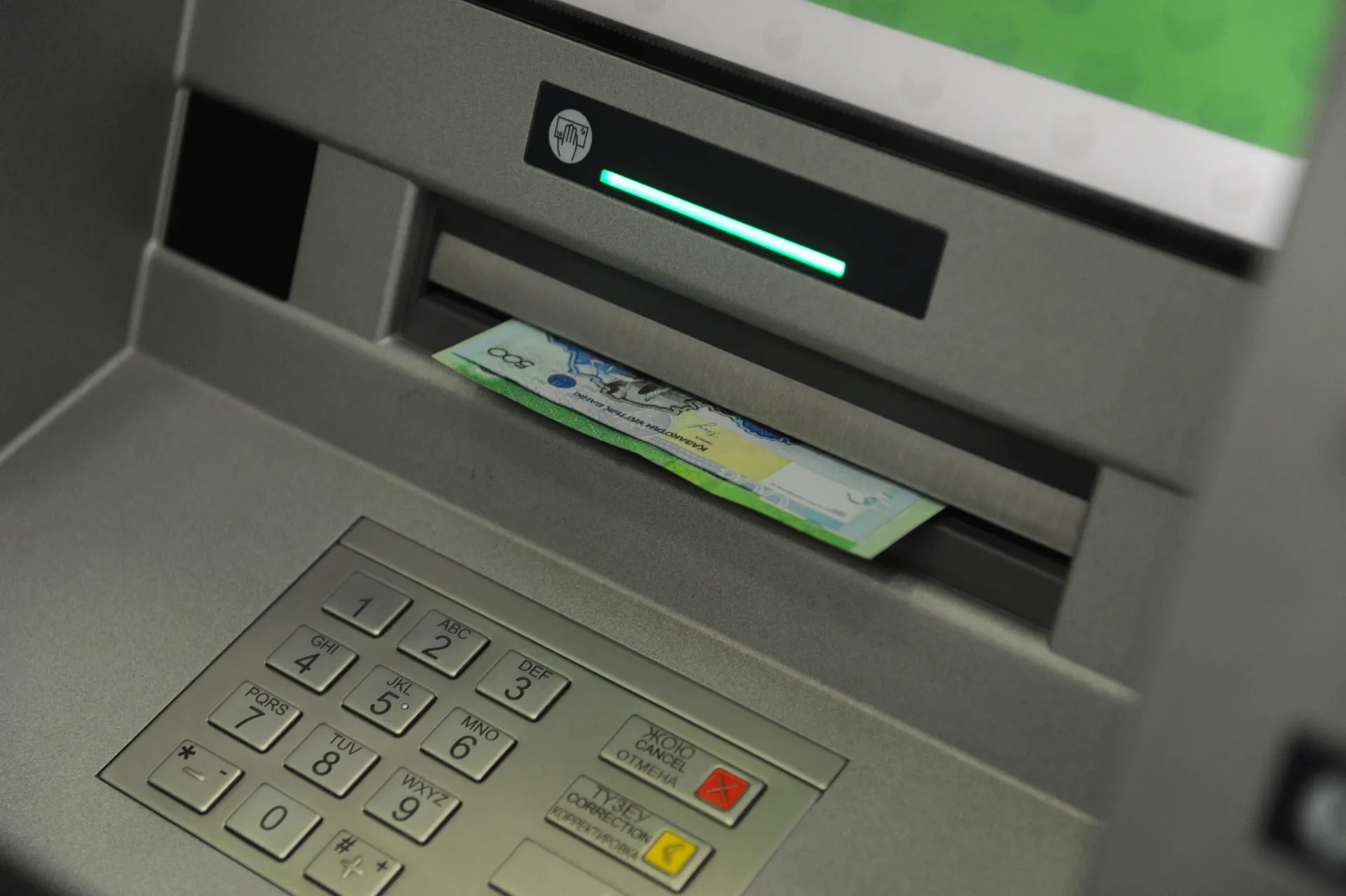 Фото: Владимир Третьяков