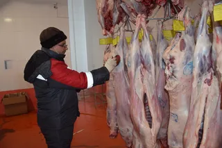 Капитал - Фермеры Южного Казахстана наращивают экспорт мяса в Иран