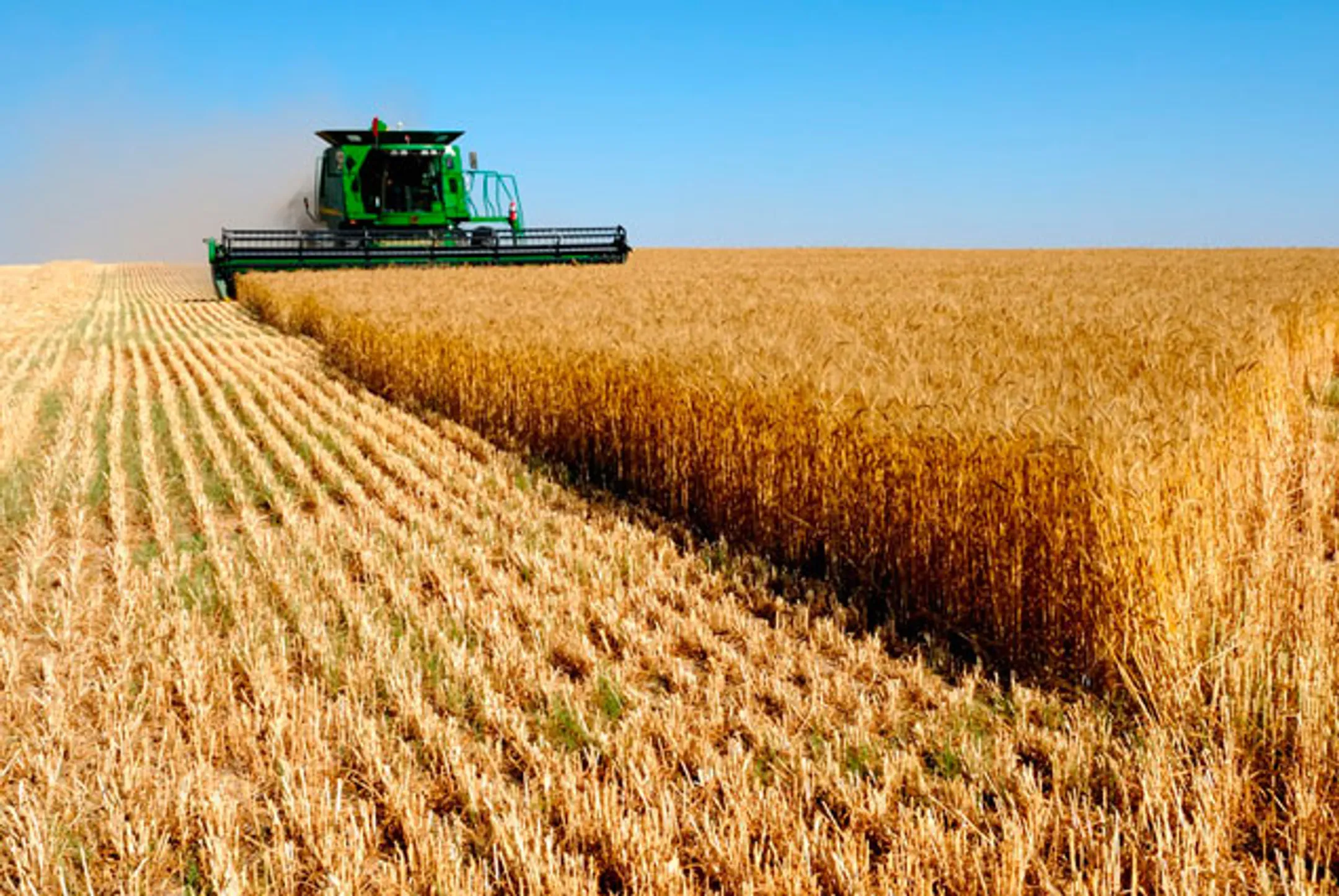 Накал политических страстей сказывается на ценах - Image Kapital.kz