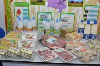 Капитал - В Актюбинской области создают семейные мини-фермы