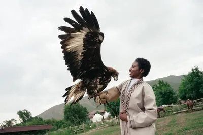 Фото: акимат Алматы