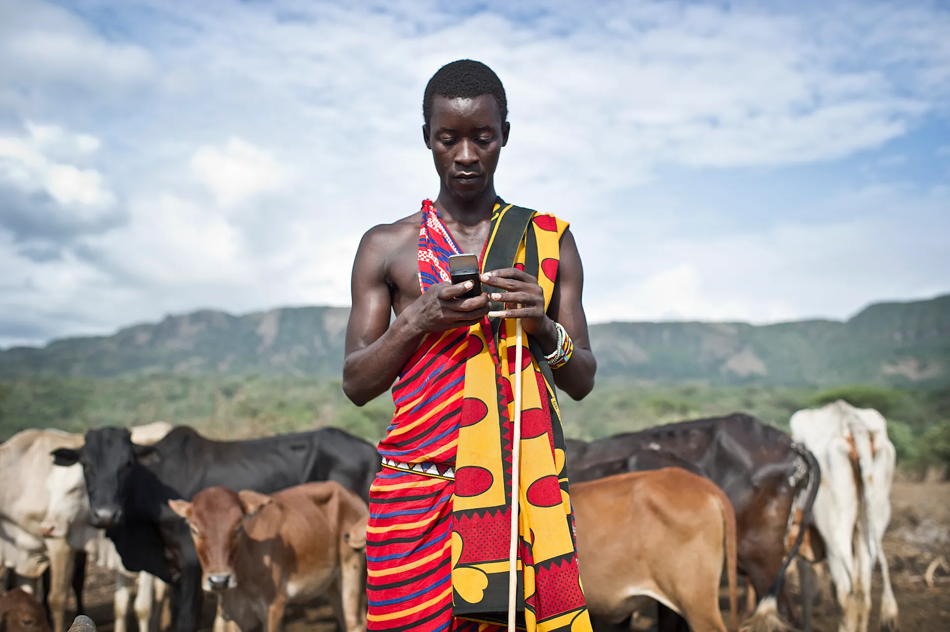 Капитал - Кремниевая саванна