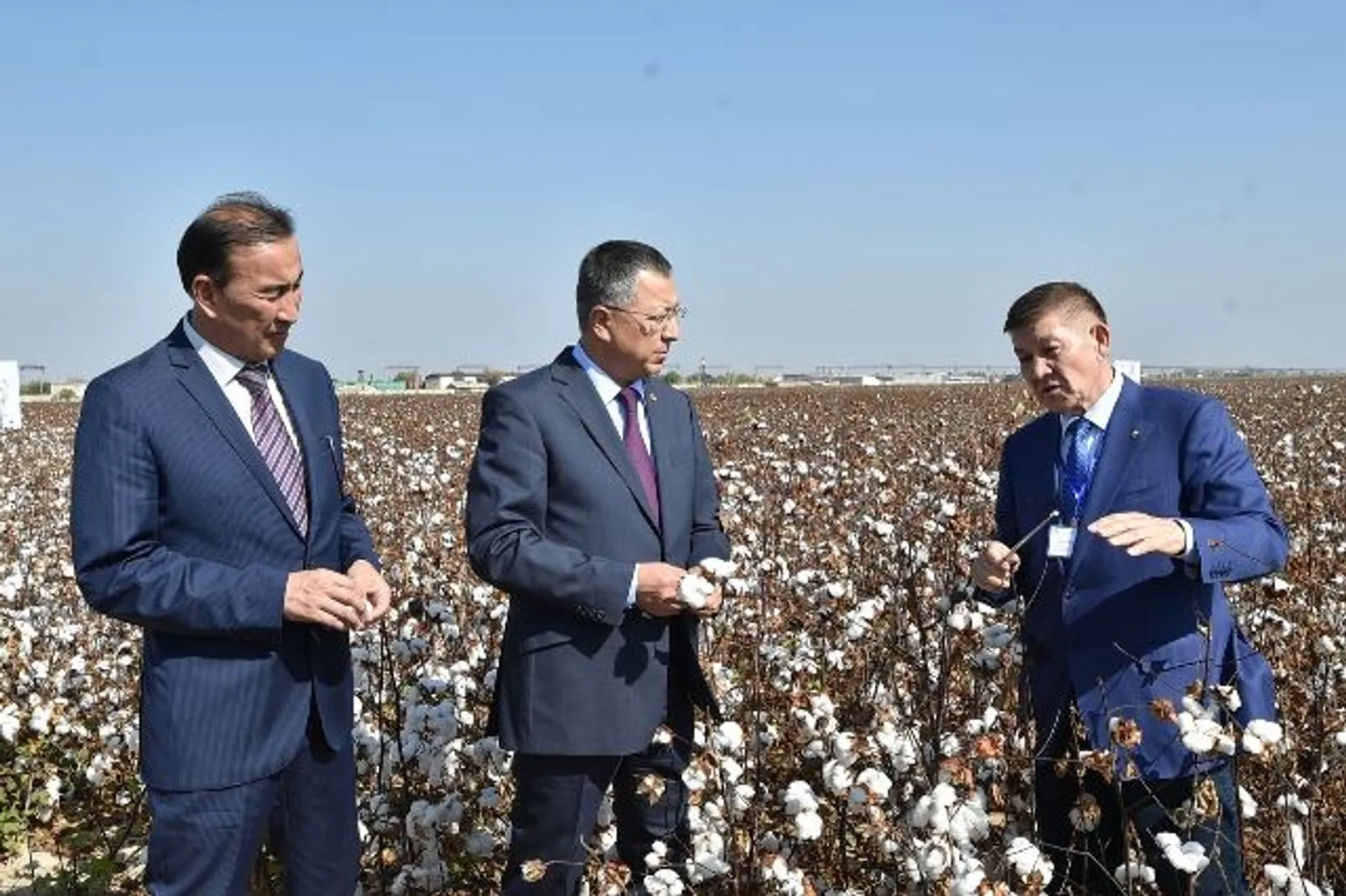 Капитал - Хлопок, как бренд ЮКО, должен быть конкурентоспособным