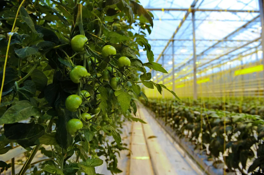 Капитал - Сельское хозяйство нуждается в инвестициях