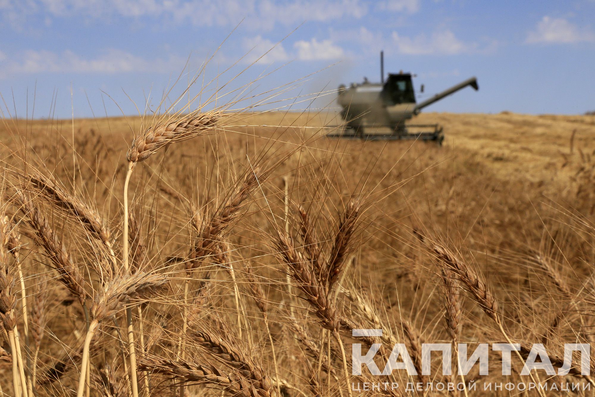 Фото: Руслан Пряников