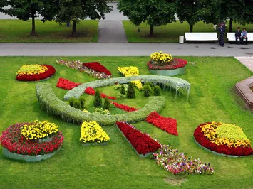 Средств на озеленение Алматы в этом году не выделено