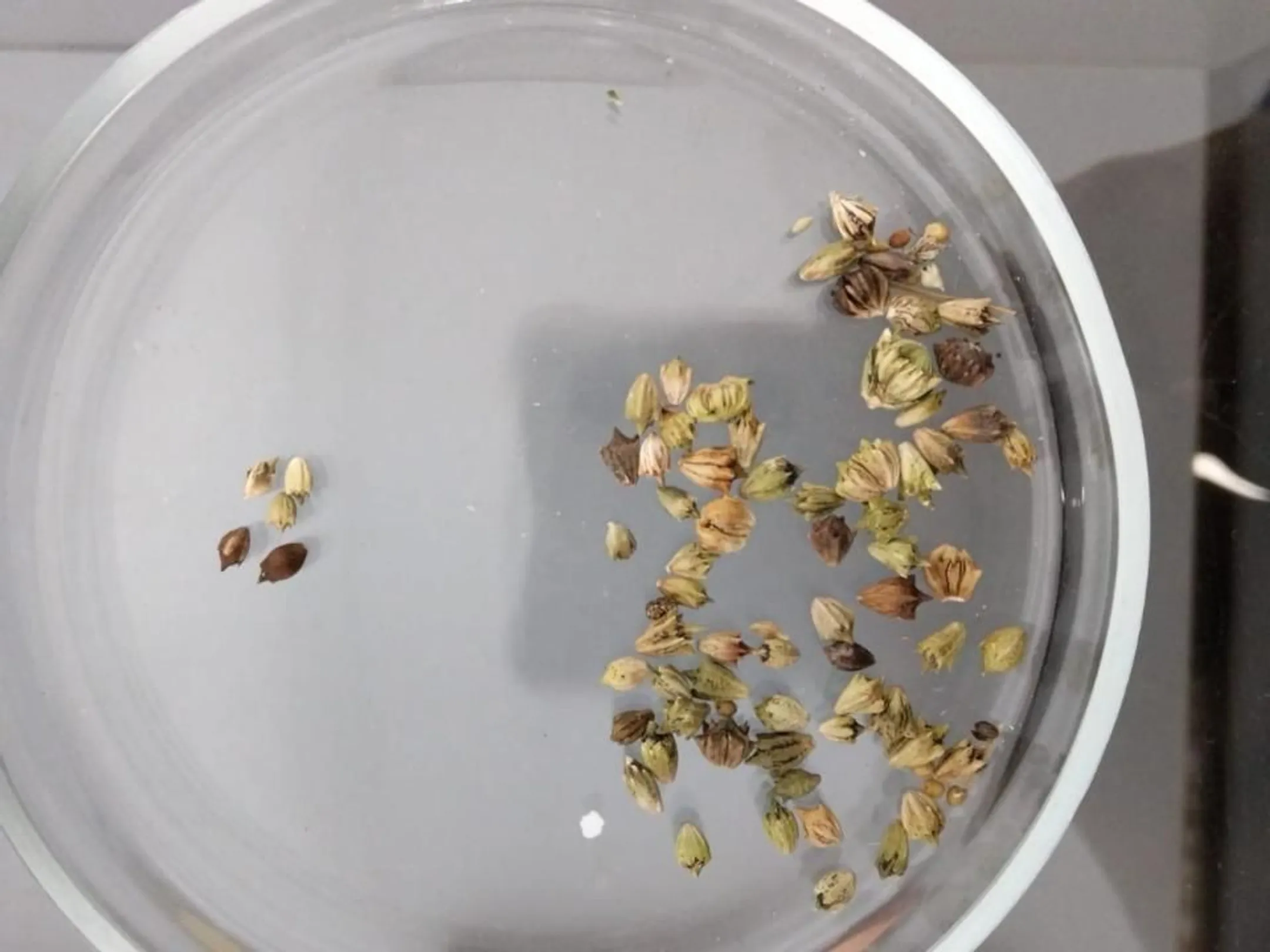 Фото: Комитет госинспекции в АПК