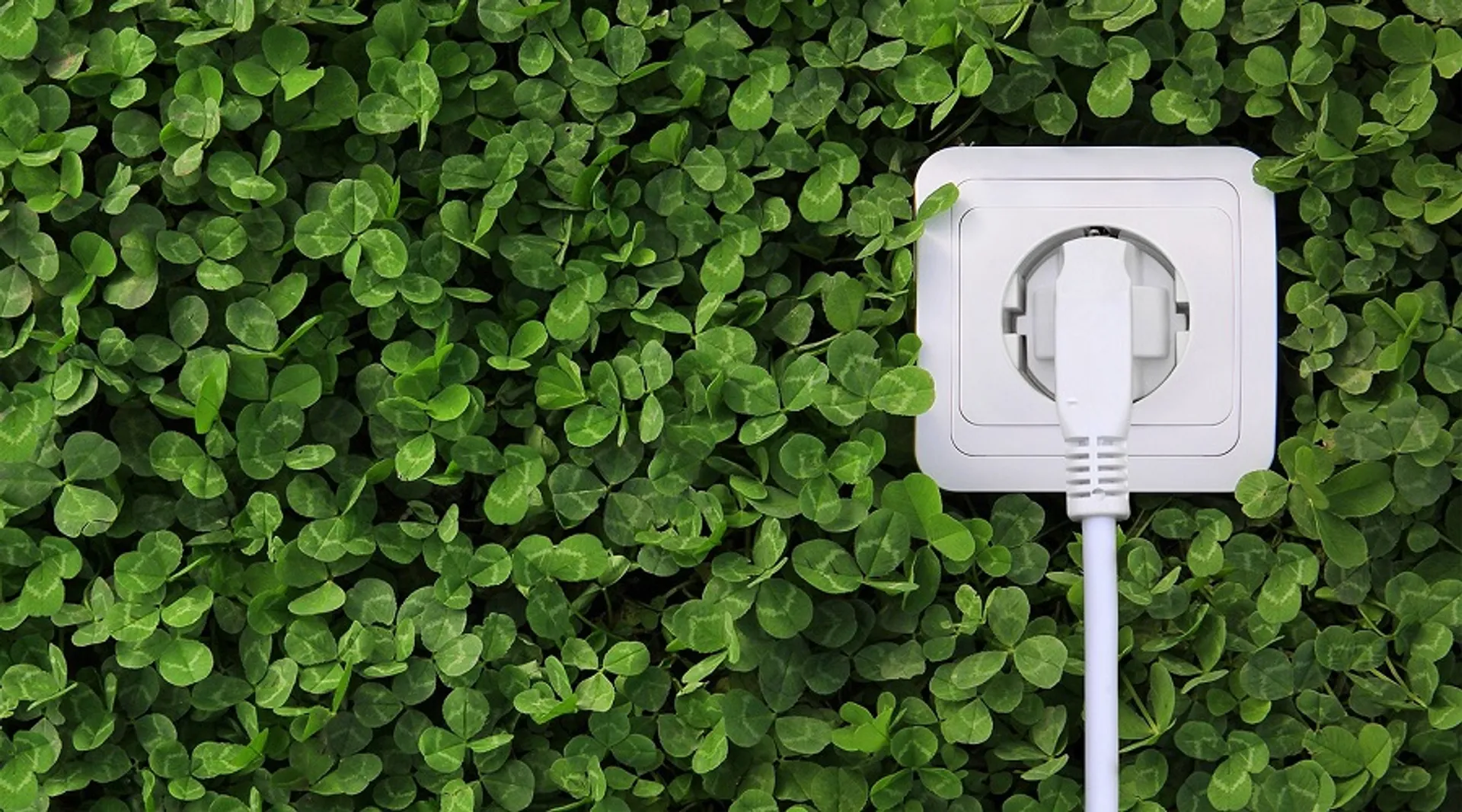 Капитал - HSBC вложит £250 млн в британскую зеленую энергетику