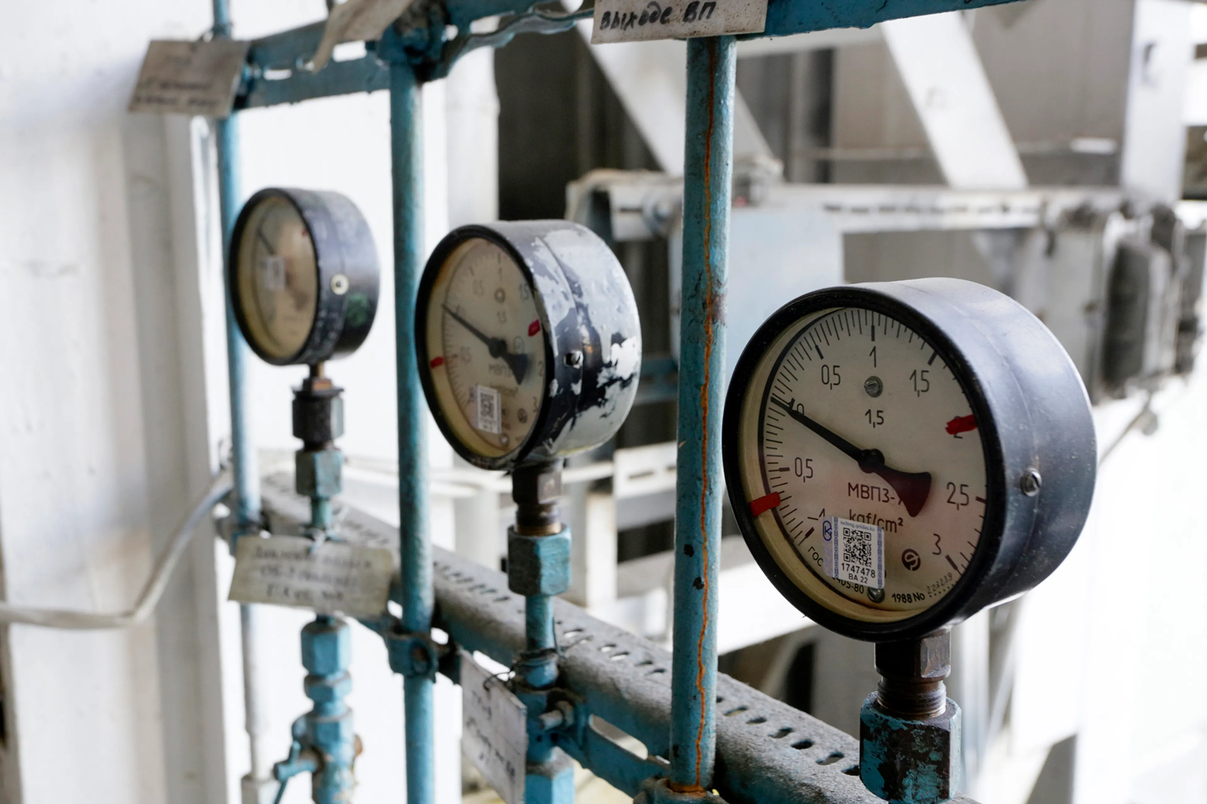 Фото: Руслан Пряников