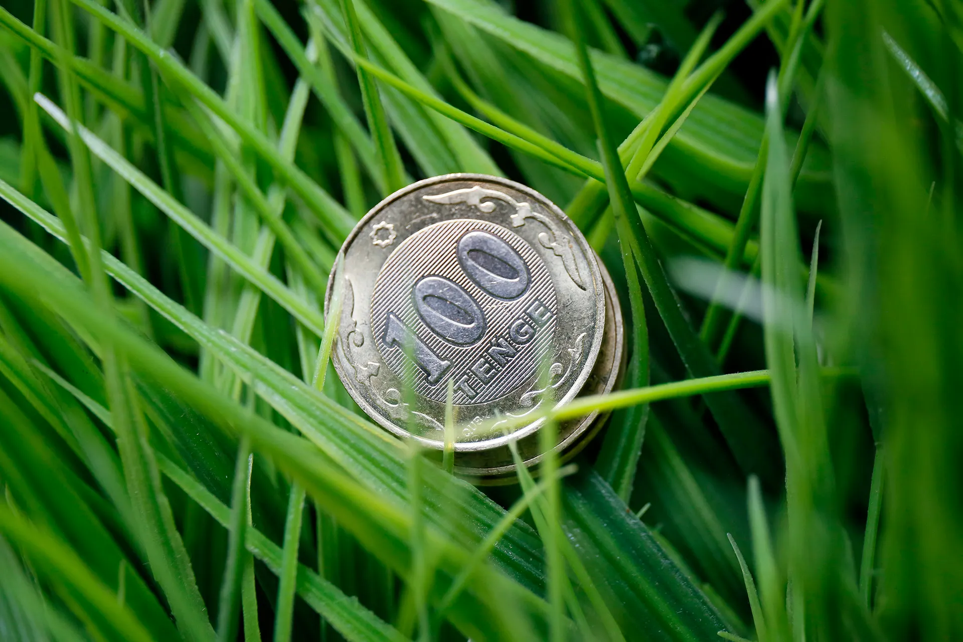 Фото: Руслан Пряников