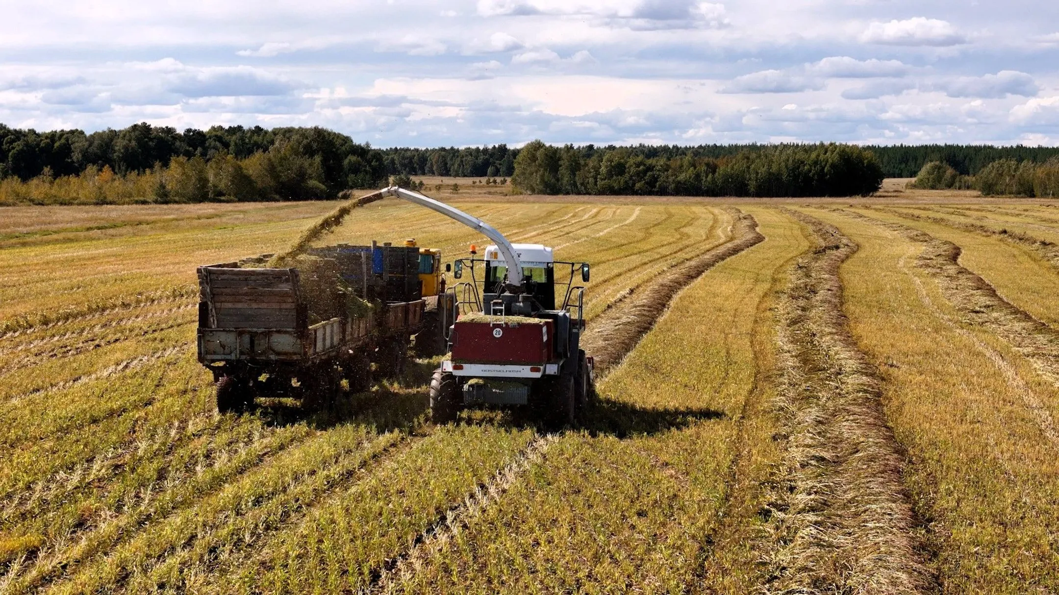 Изображение Kapital.kz