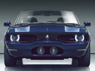 Капитал - Метис Bass 770