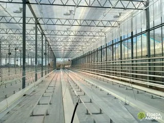 Капитал - В Астане построили высокотехнологичную теплицу