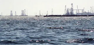 Капитал - РФ и Иран договорились об охране биологического разнообразия Каспия