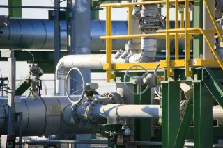 Фото: Руслан Пряников