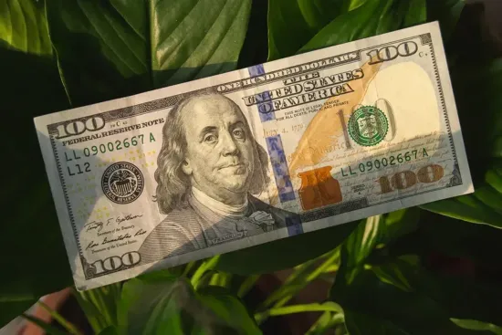 Anthropic $25 млрд тартуды көздейді