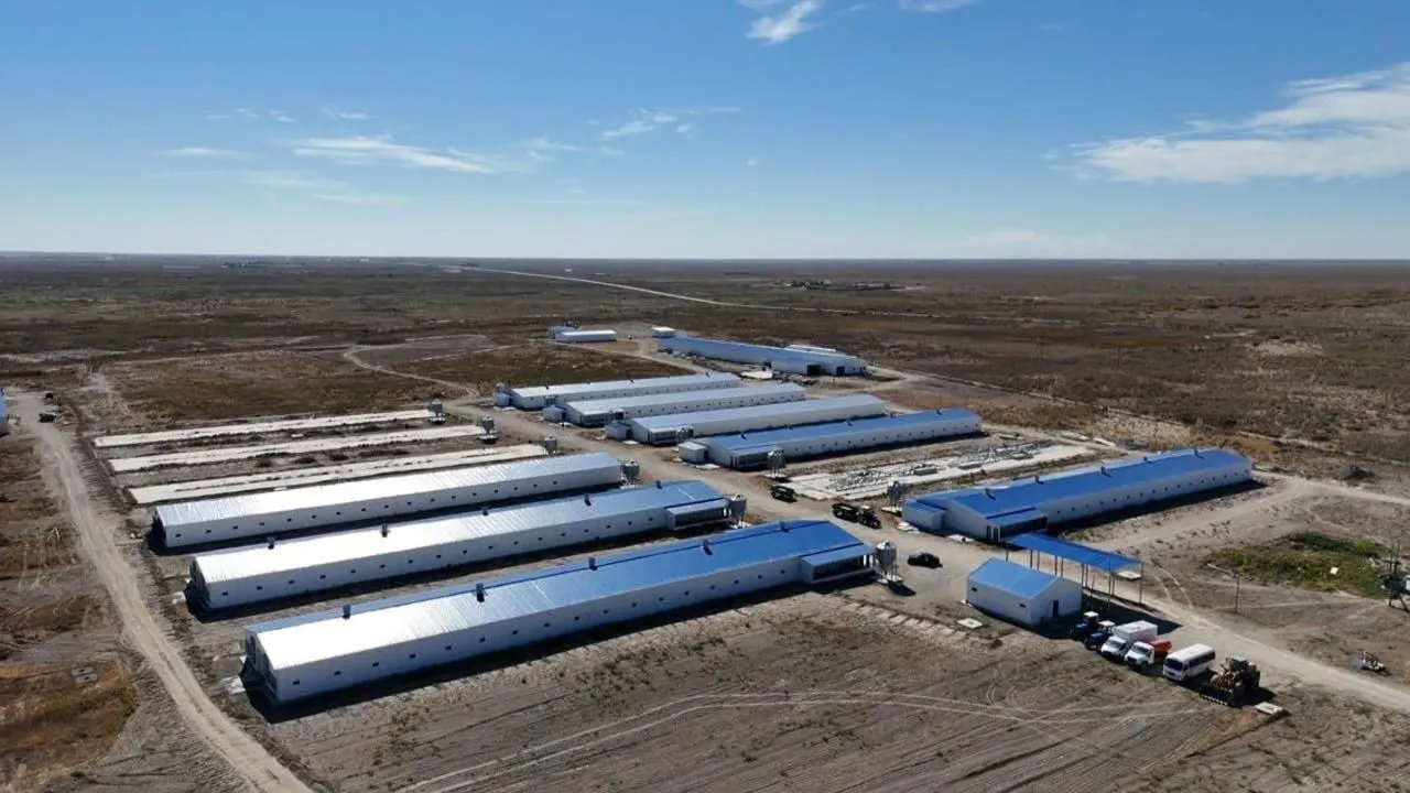 В новую птицефабрику вложат 5,2 млрд тенге