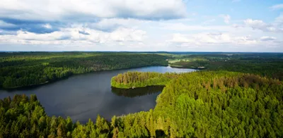 Финляндия признана лучшей страной для экотуризма в 2019 году